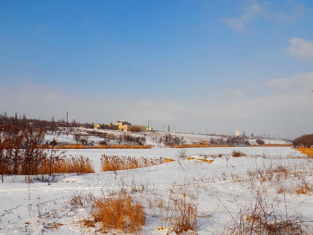 Ставок