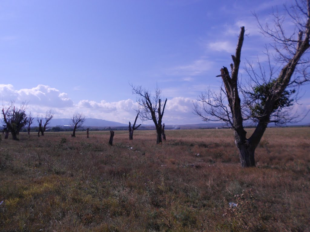 Крым, Россия