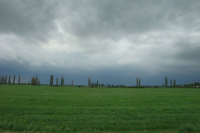 перед Грозой