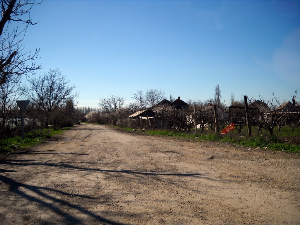 На краю Золотого Поля
