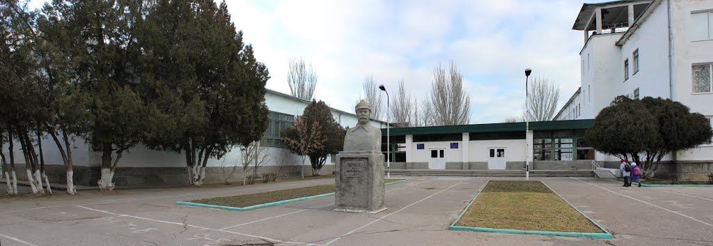 Бюст Фрунзе Михаила Васильевича.