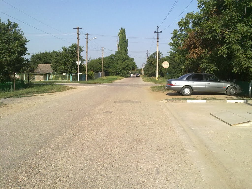 Gogol St.