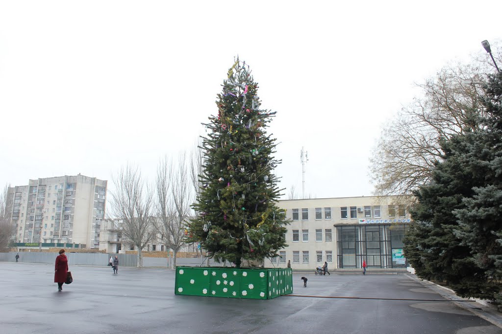 Ёлка 2011-2012