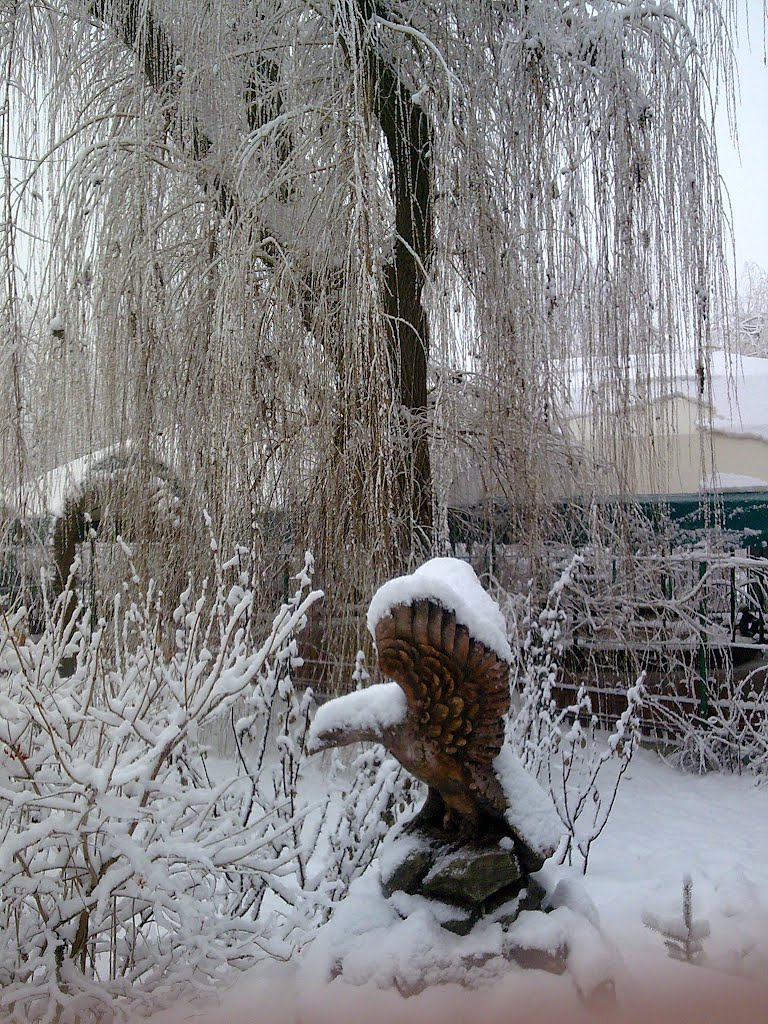 Орёл в Крыму.