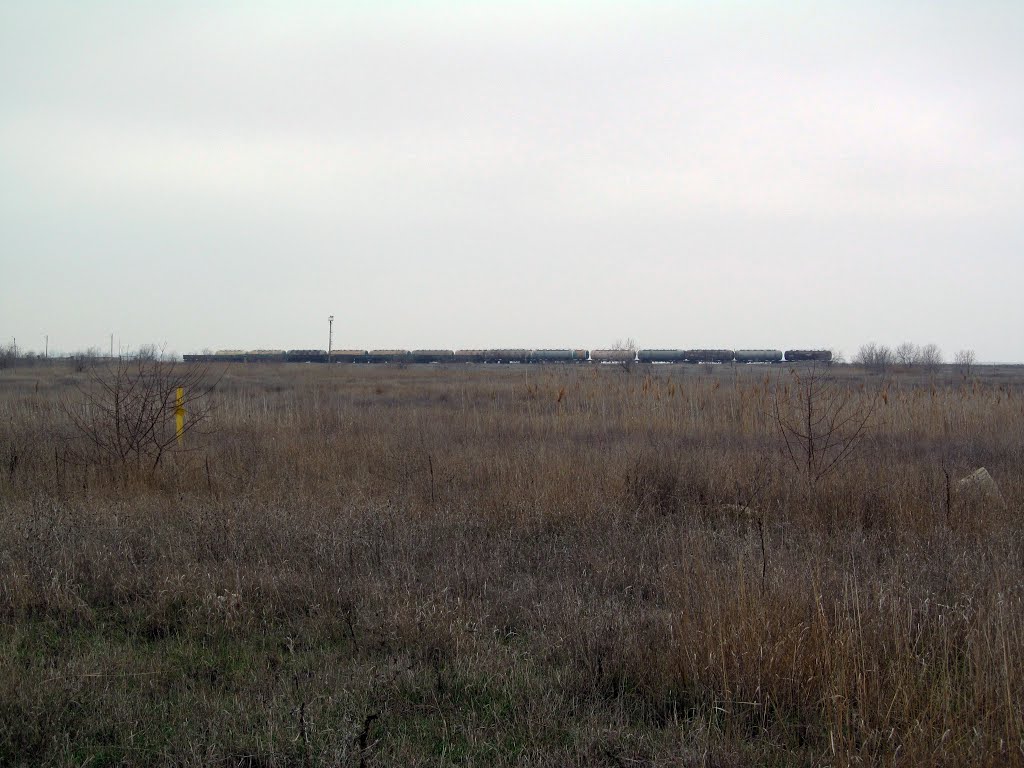 вагони у степу * carriages in steppe