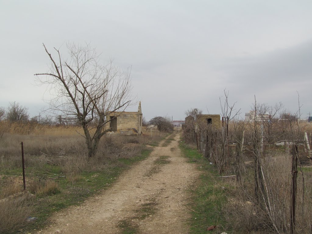 abandoned houses * покинуті садові будиночки