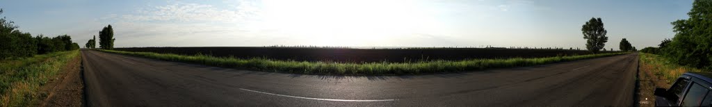 Панорама: Дорога  Кіровоград-Миколаїв