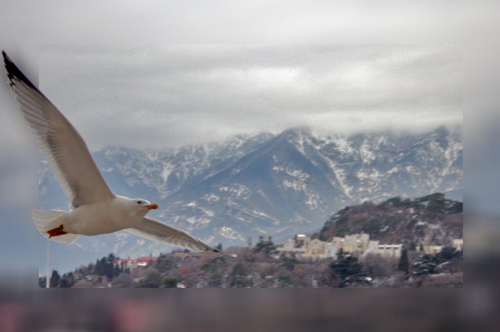 Над Ялтой - Flight over Yalta