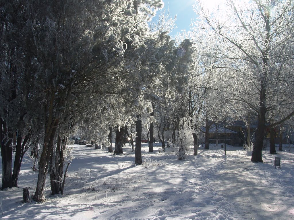 Зима 2014 - 2