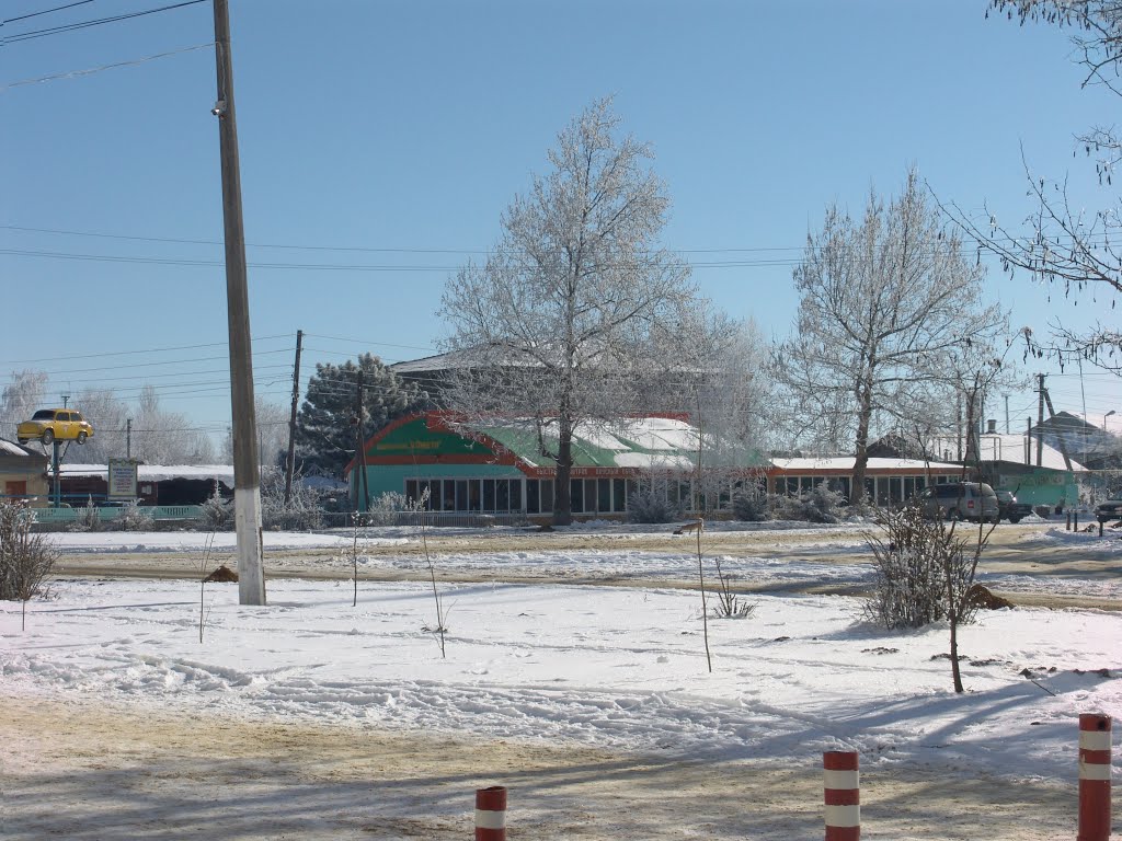 Зима 2014 - 4