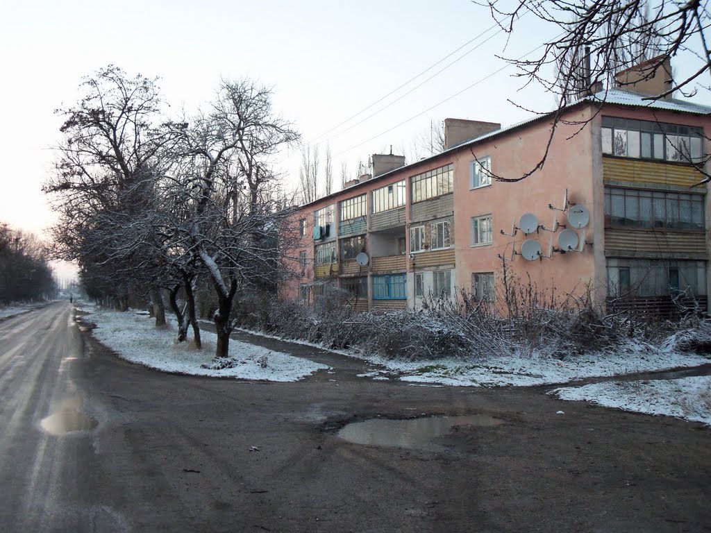 Лесная 14