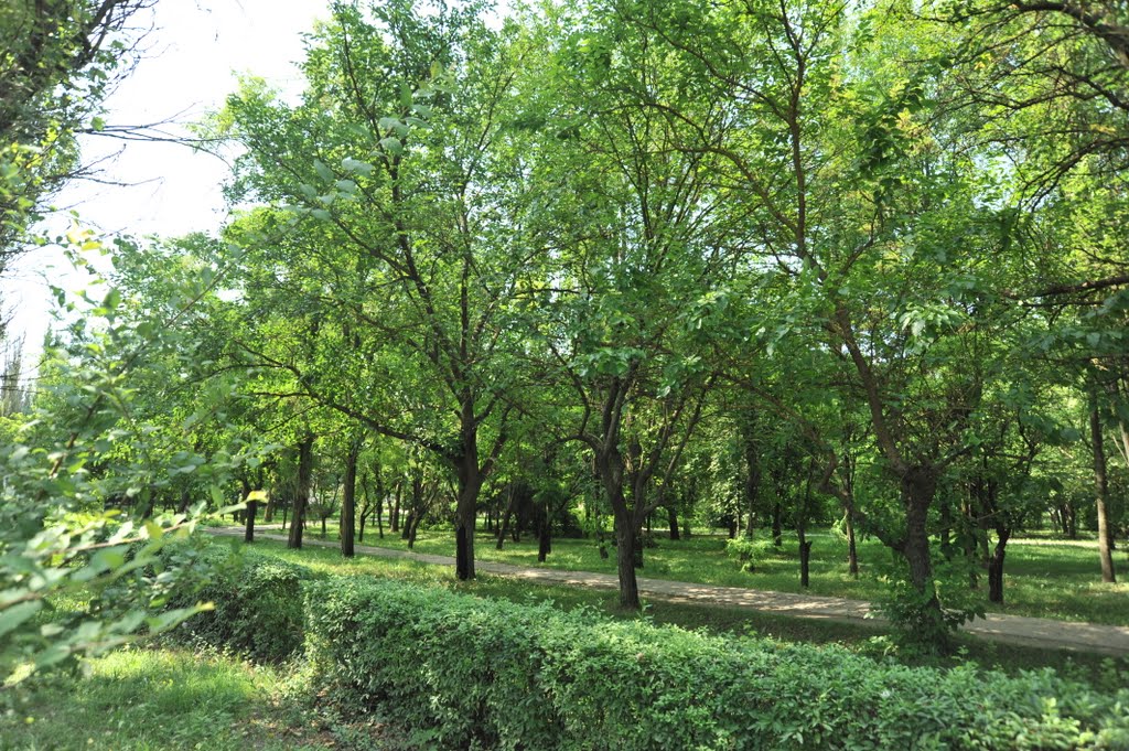 парк