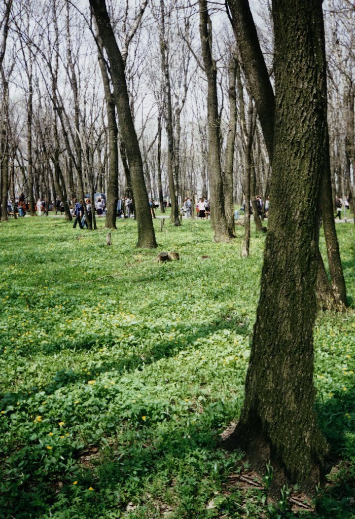 Парк СМЗ 1.05.98