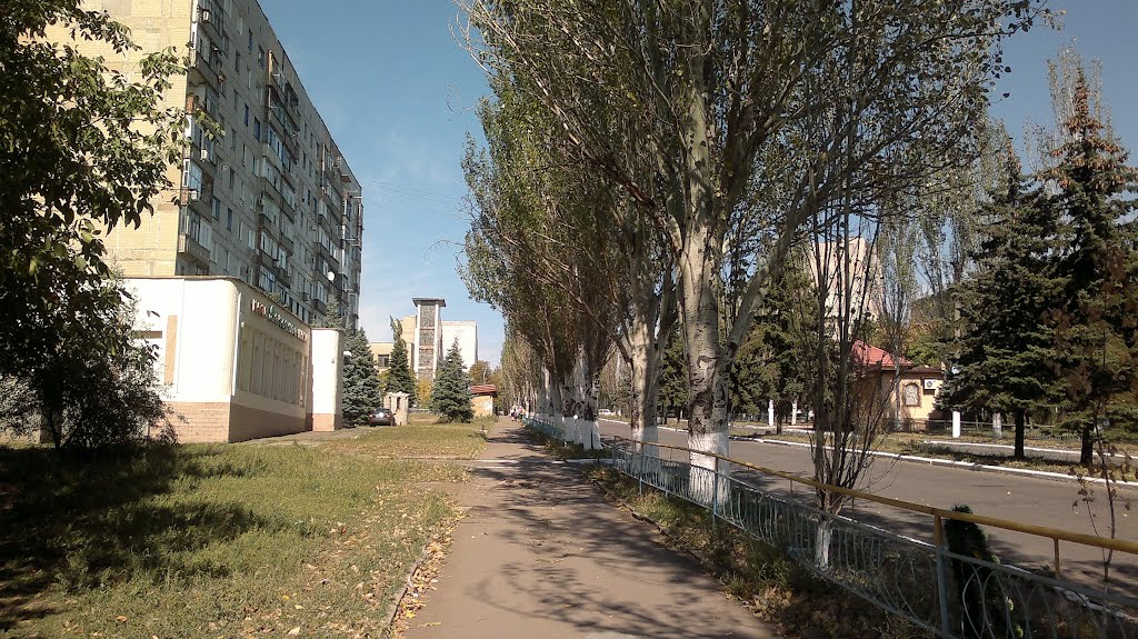 ул. Гагарина 19.09.2012