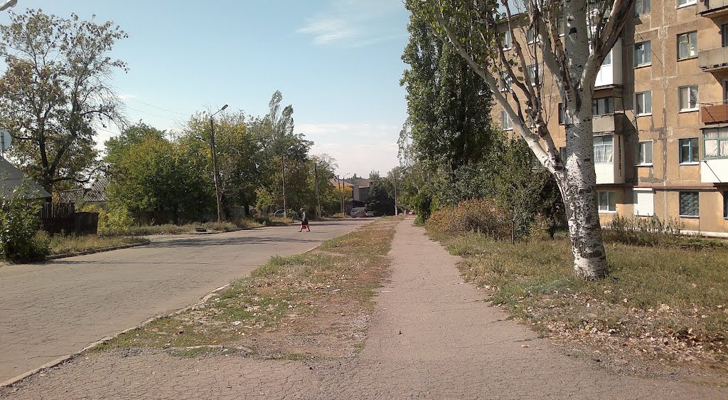 ул. Карапетяна 19.09.2012