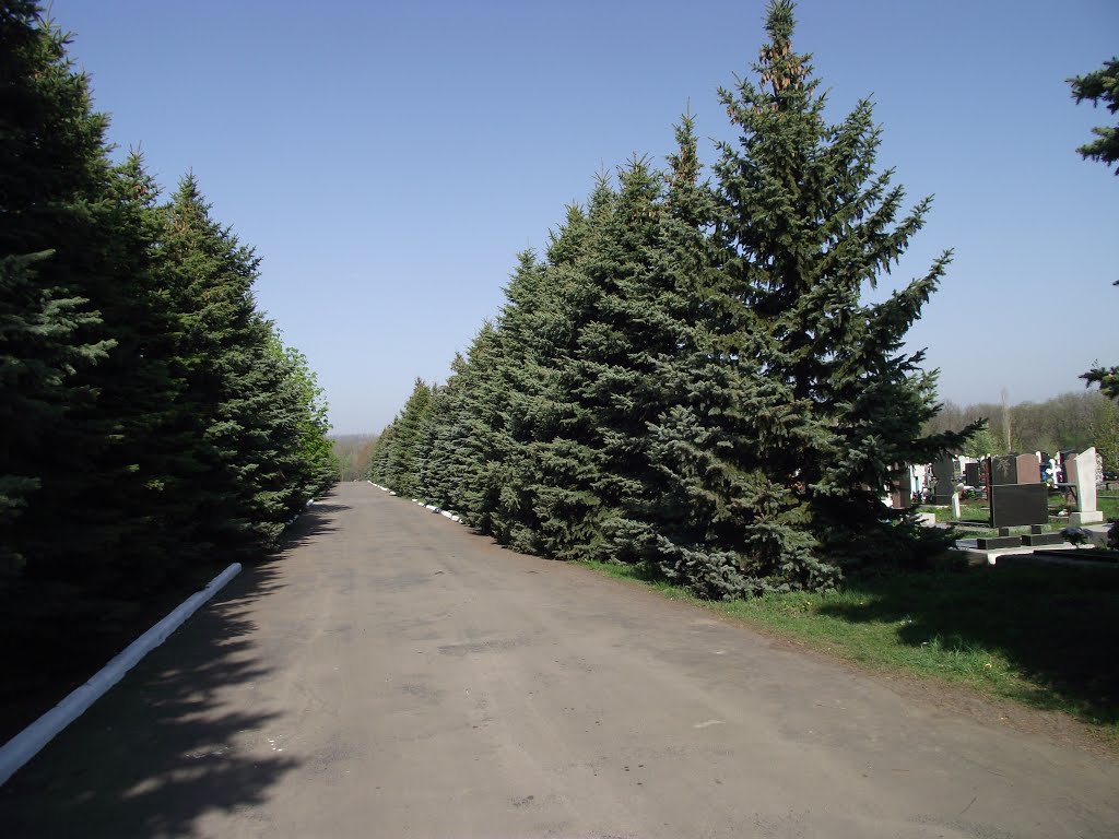 центральная аллея