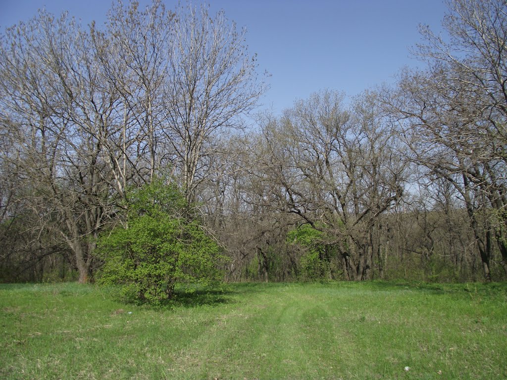 возле балки
