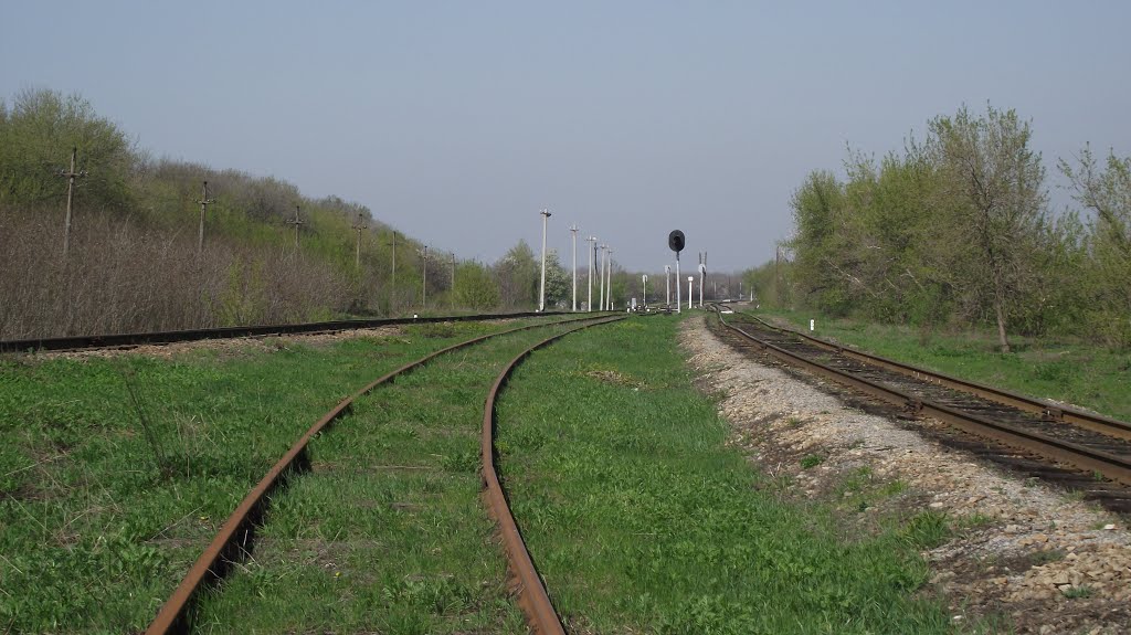 Miusynsk