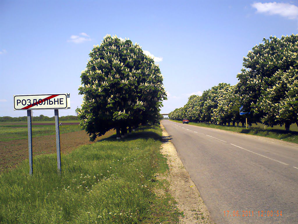 Аллея Каштанов вид с села