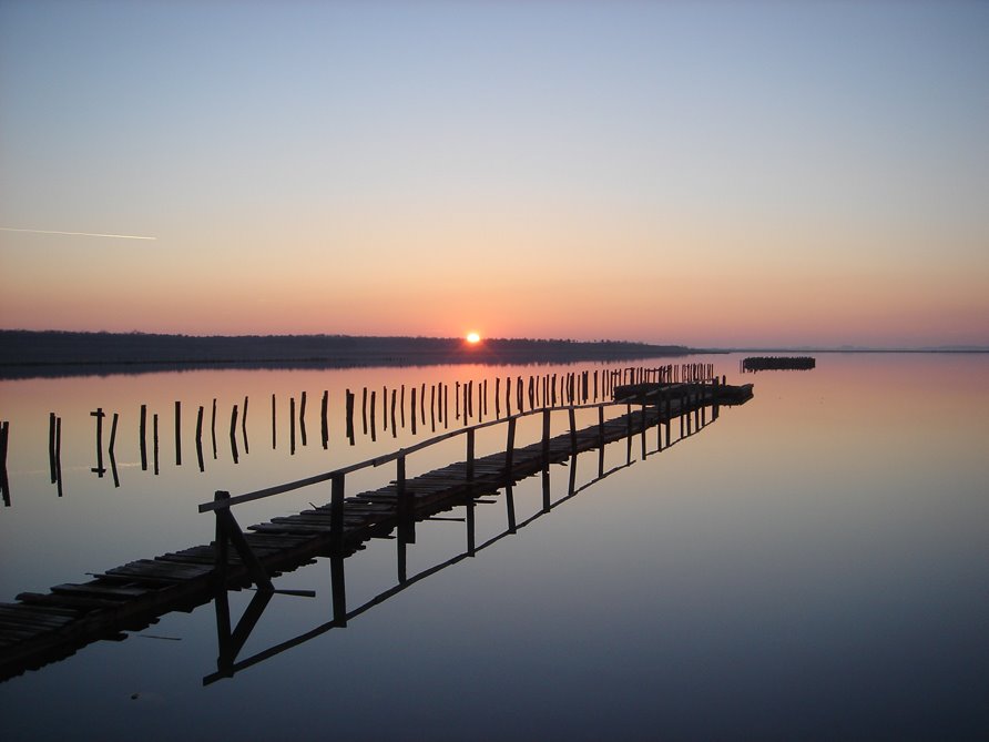 Saki Sunset