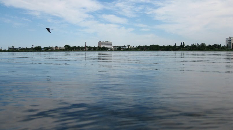 Kind on the city of Saki