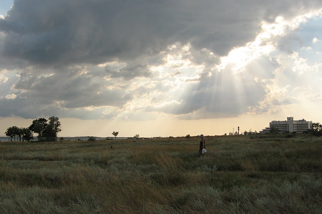 Лучи