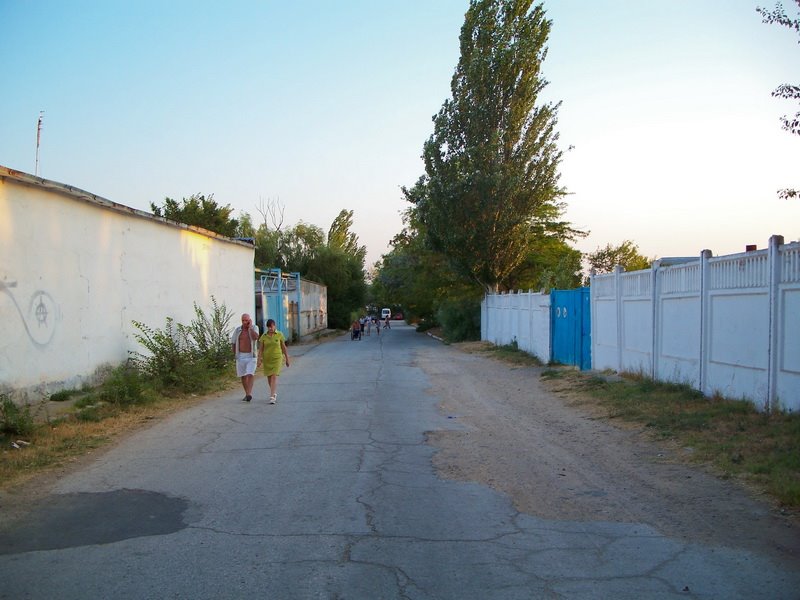 Path to the lake