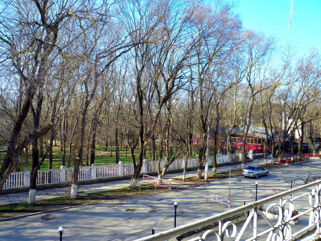 Саки, ул.Курортная