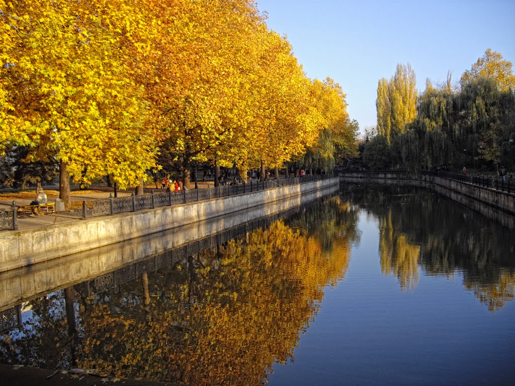 Gold Salgir river. October