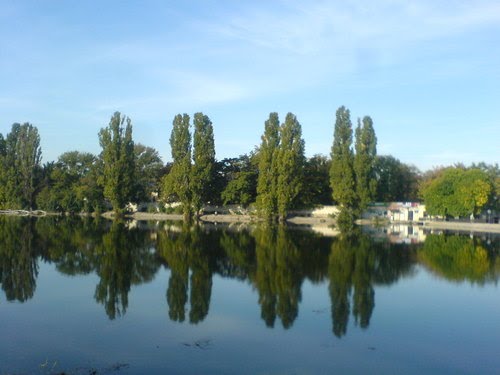 Ставок