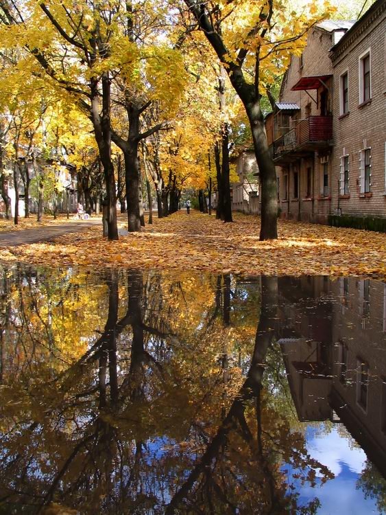 Осеннее зеркало ( Water mirror )