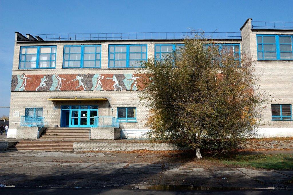 ДЮСШ (СК Химик)