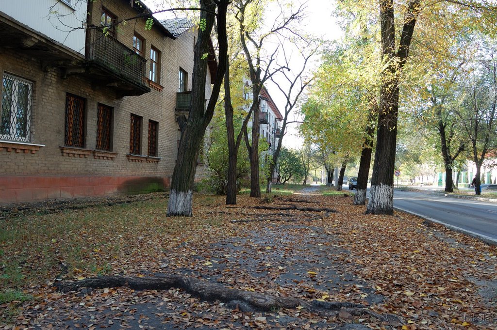 Зигзаг судьбы (ул. Сметанина)