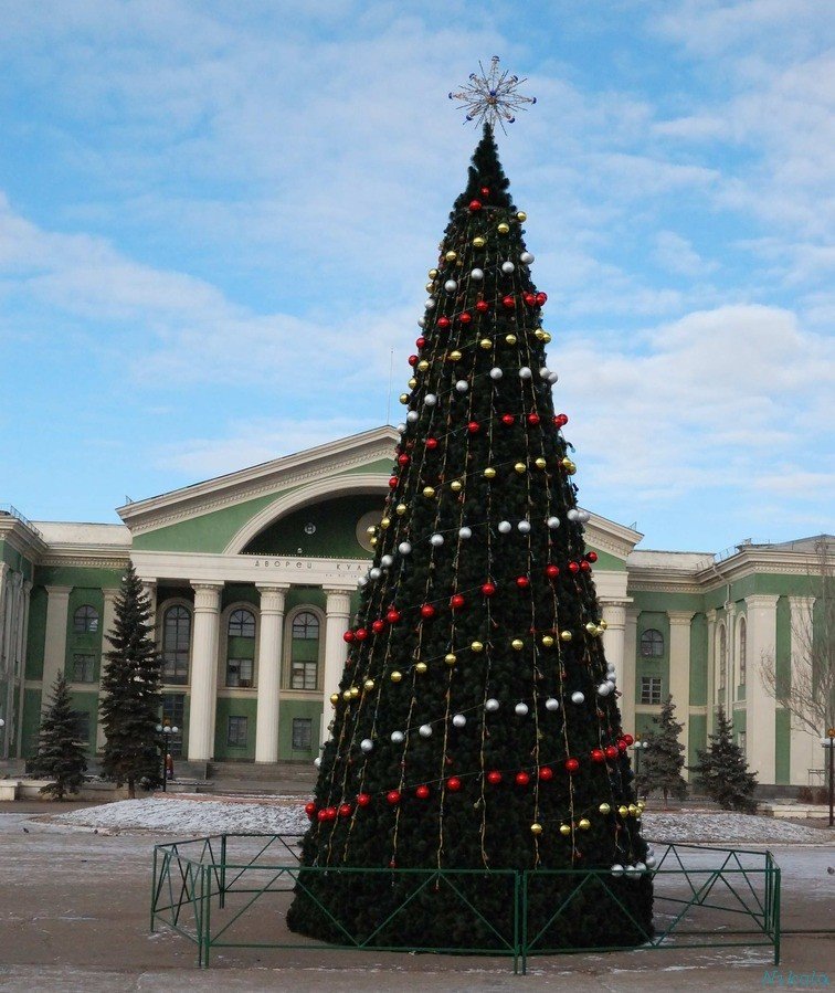 Новый Год (01.01.2008)