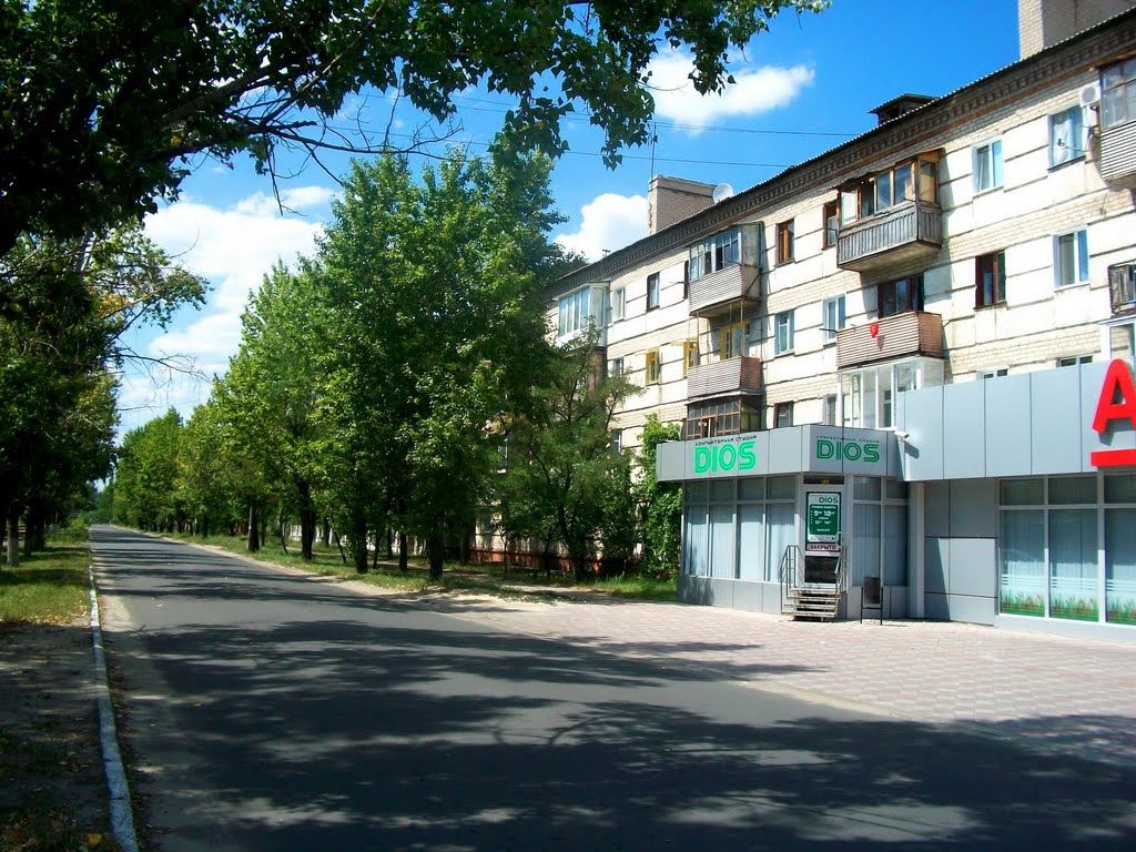 Street in downtown Severodonetsk