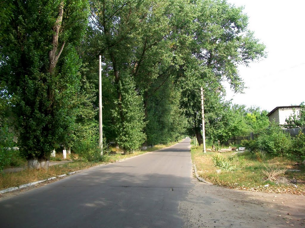 Severnaya street, Severodonetsk