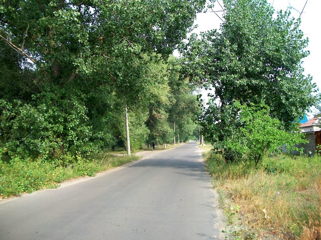 Severnaya street, Severodonetsk