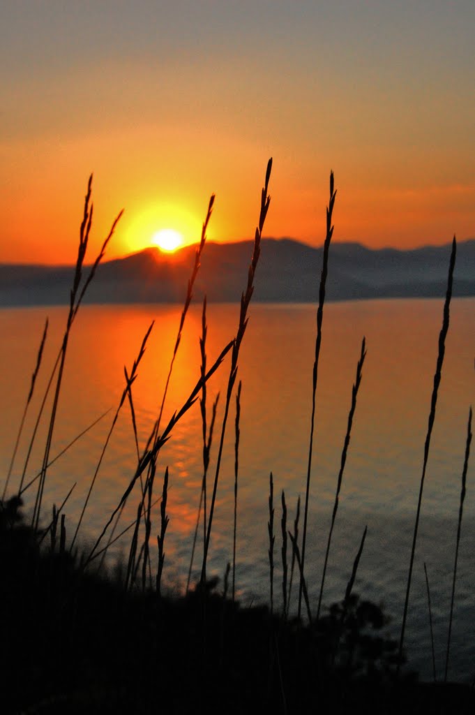 Утро - Morning in Crimea.