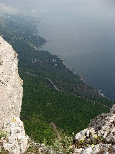 Вид