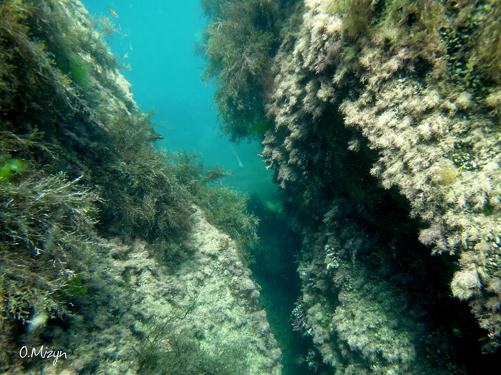 Скалы морские