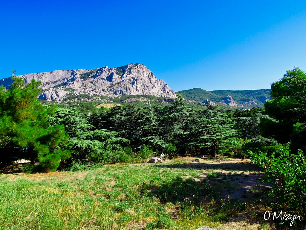 В Форосском парке