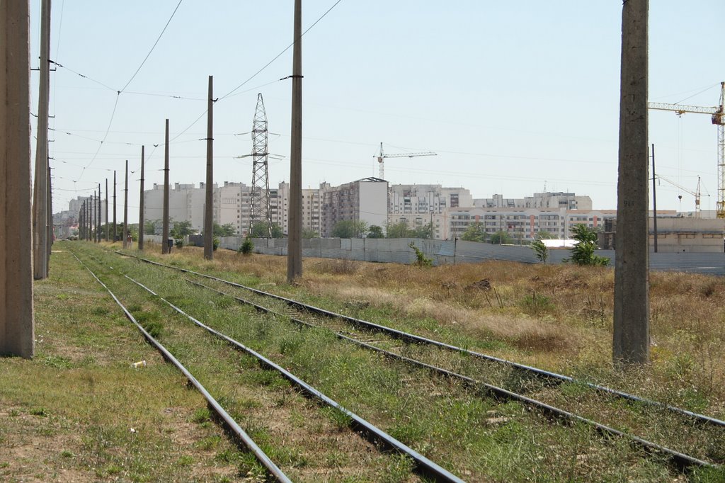 Tram Tracks