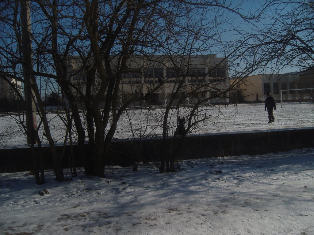 15-я школа