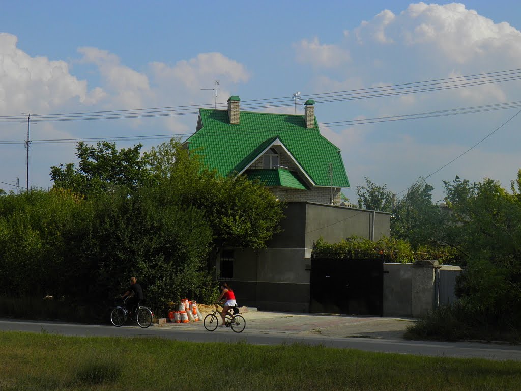 зелёнаяМАНСАРДА