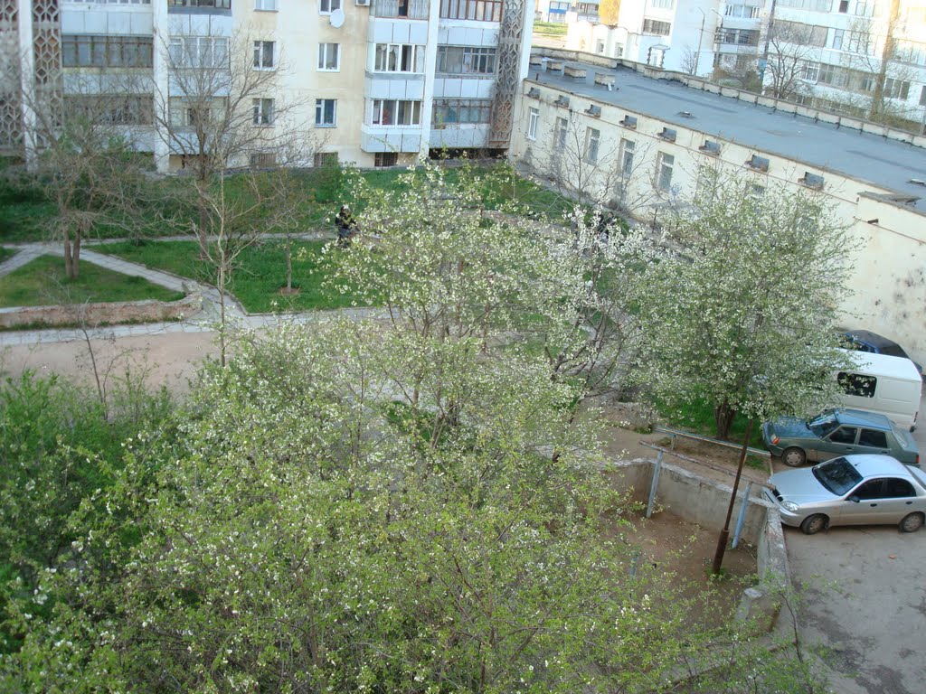 Весна