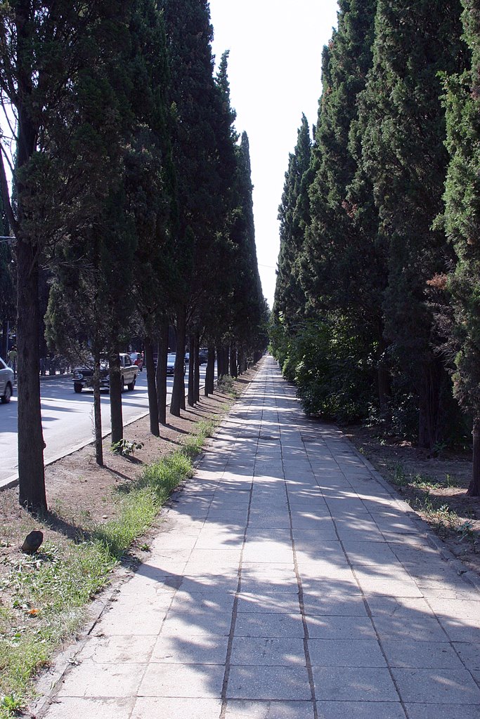 Ялта. Кипарисовая аллея