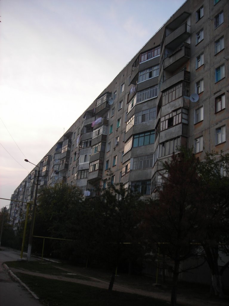 23 дом