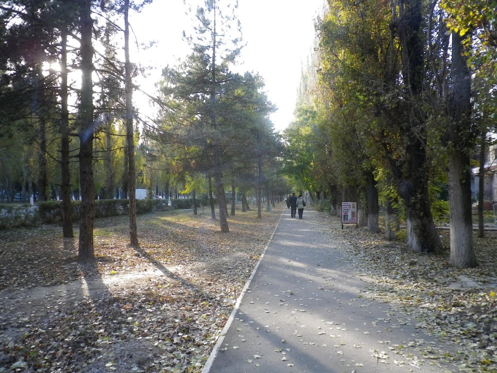 Armjansk