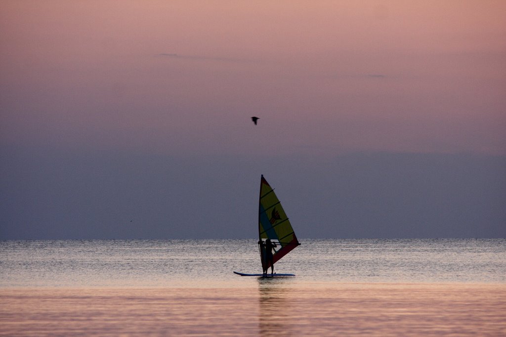Sail