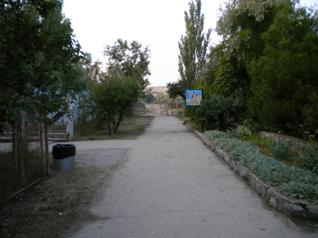 Mysove